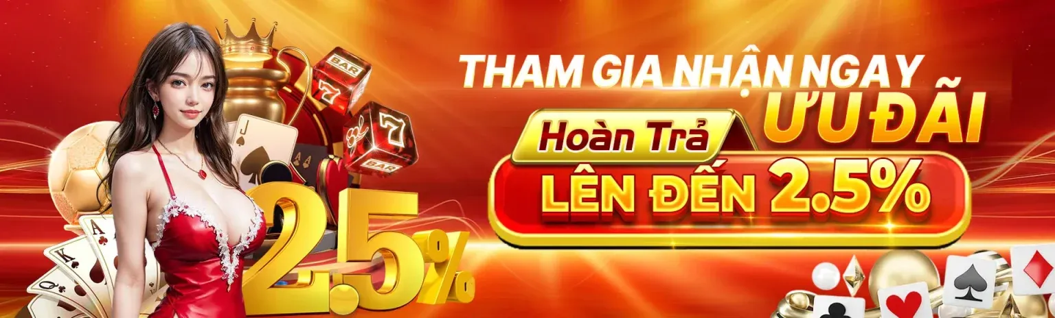 Banner 88vv host